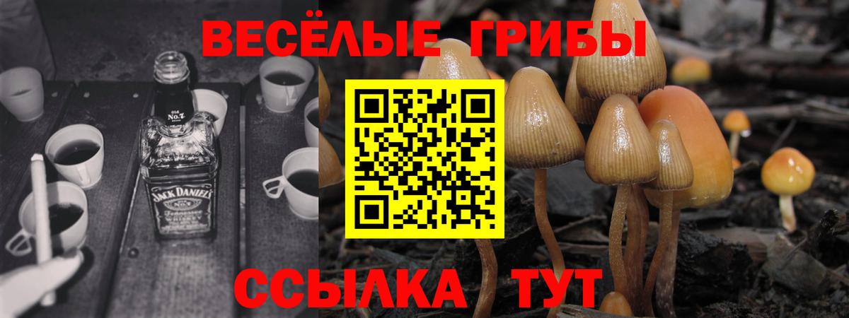 Нальчик  Псилоцибиновые грибы Psilocybine cubensis  Вход с VPN 